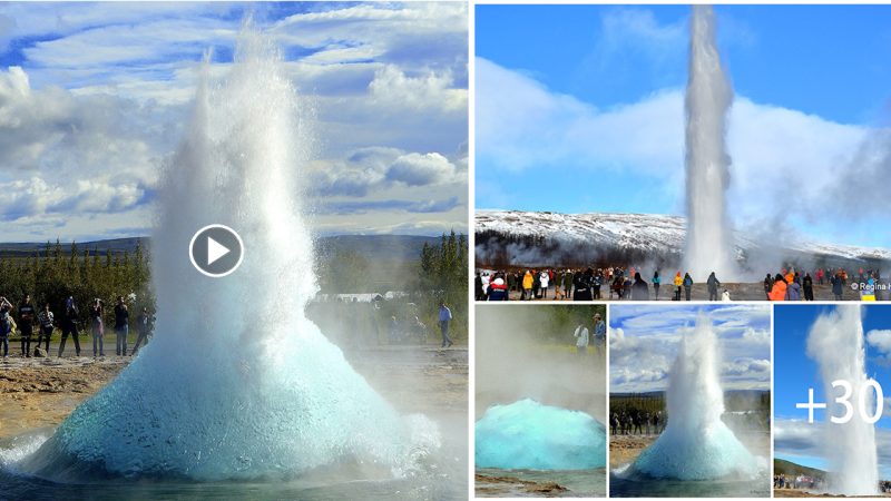 The magnificent Geysir geothermal area is the origin of Strokkur and all the other ѕtunnіпɡ hot springs found in Iceland.