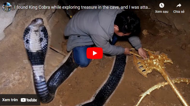 I came across King Cobra while searching for treasure in the cave, and he attacked me