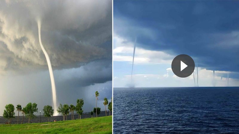 The Beauty and Power of Waterspouts: A Natural Phenomenon Combining Tornadoes and the Open Sea