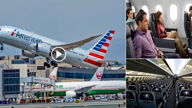 American Airlines Boeing 787: An eagle in the wild