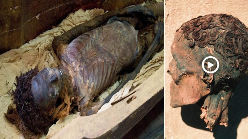 The mystery Of The 3,000-year-old mummy With Strange Curly Hair Surprised Archaeologists