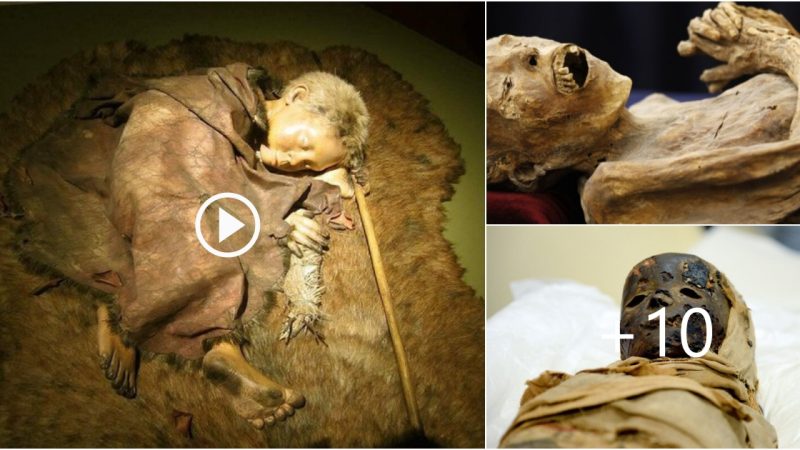 Four-Year-Old Laredo Child Mother May Be Neanderthal/Human Hybrid, But Identification Is Unknown