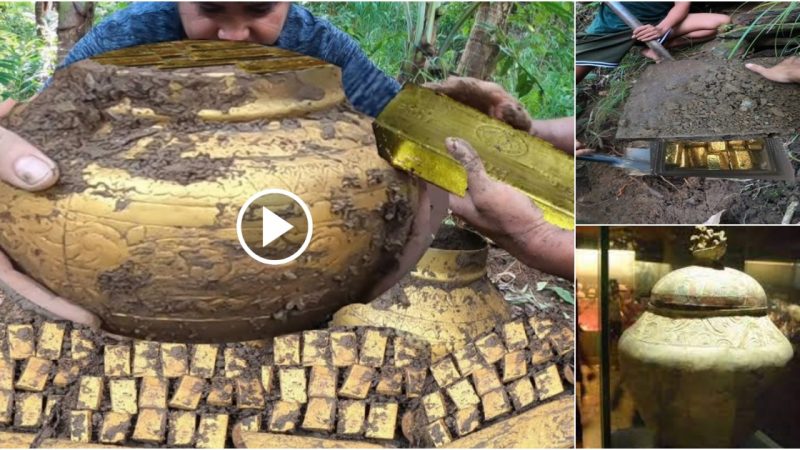 Priceless Discovery: 3 Gold Jars Unearthed, Revealing the Largest and Most Spectacular Treasure in Philippine History (VIDEO).