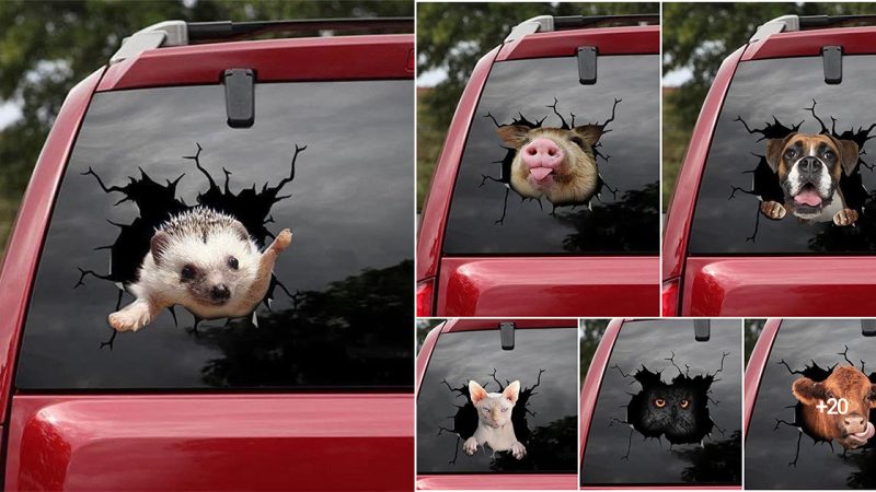 3D Animal Car Window Decals