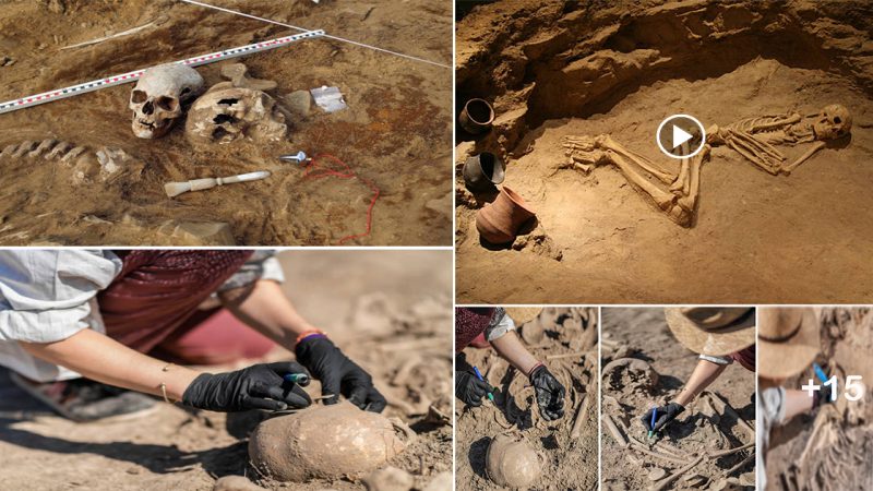 “Unearthing the Secrets: The Fascinating World of Skeletons in Graves”