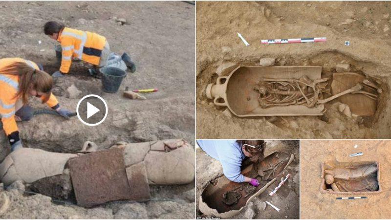 Corsica cemetery discovered 40 skeletons in giant jars