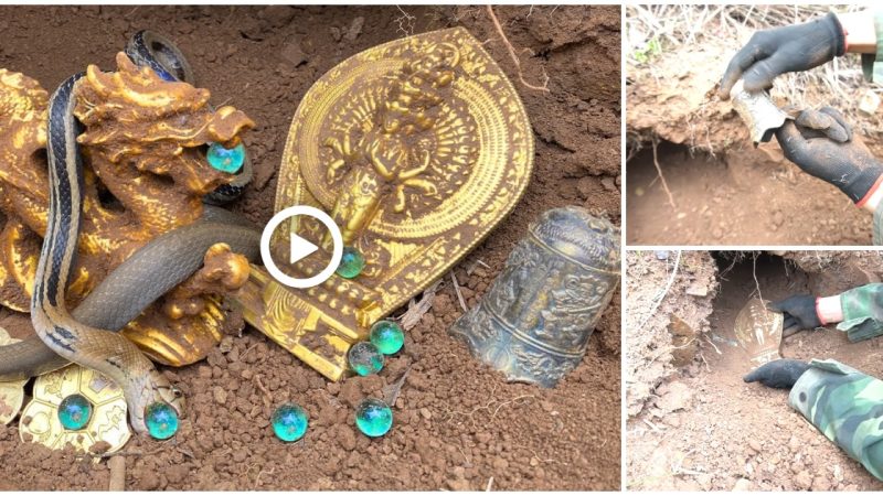 Following the clues on the map, we were able to find a significant treasure that is being protected by a dangerous snake (video)