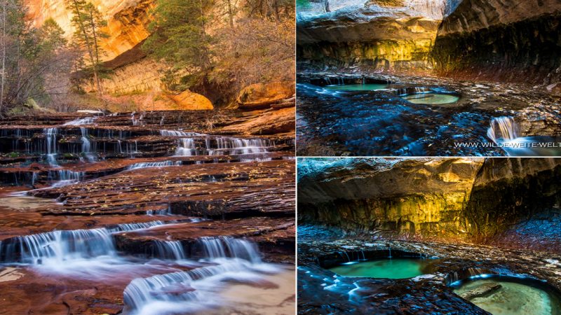 The Subway und North Pole [Zion National Park]