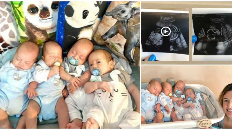 I’m a mum-of-7 after trying for ‘1 more’ & having QUADS – we use 50 nappies a day & use a trick to tell them apart