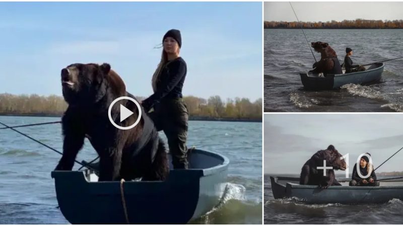 Brown bear that was saved becomes a woman’s fishing partner