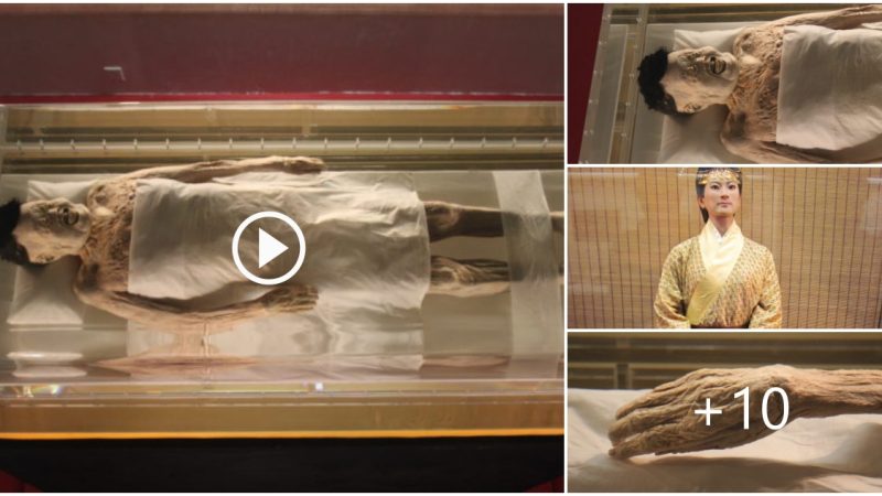 Because it has been preserved so well, this 2,200-year-old mummy still has blood in its veins