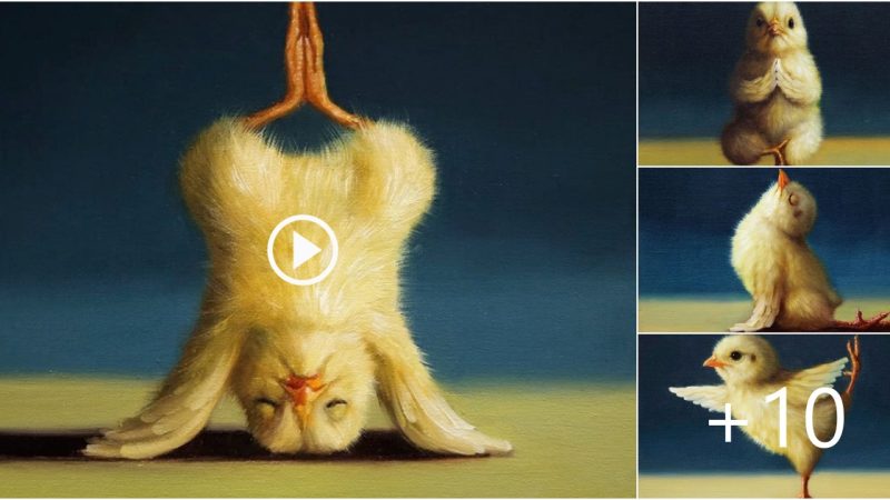 Unique image of a chick with lovely yoga exercises