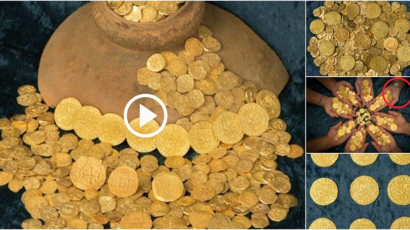 Family’S Incredible Discovery: Unearths $1 Million Worth Of 18th-Century Gold Treasure Off Florida’S Coast.