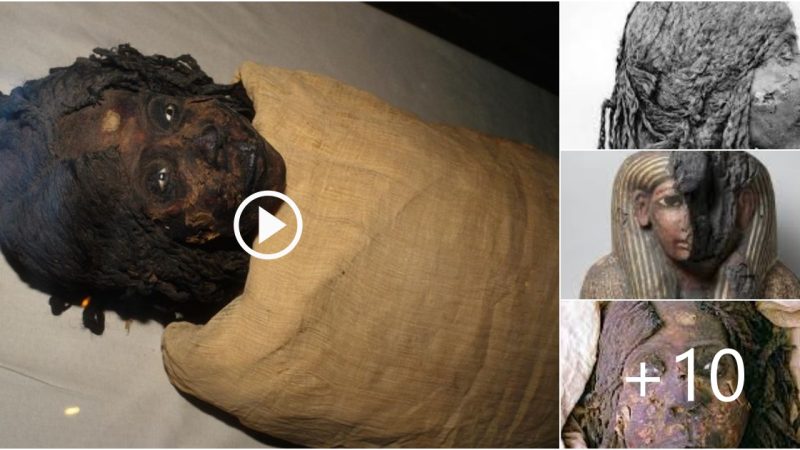 Mummy of Queen Nodjmet