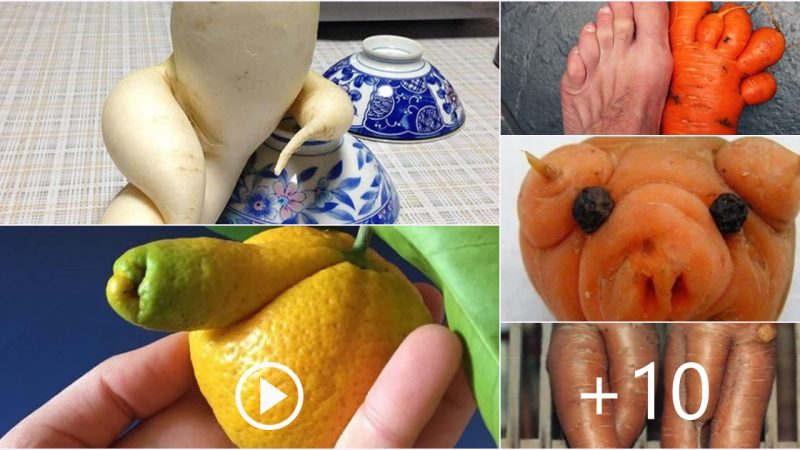 Discover Unique Shaped Fruits That Bring Joy to Harvesting at Home