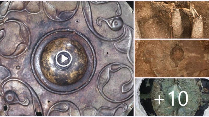 Celtic shield buried with bronze age warrior 2000 year ago is UK most important find