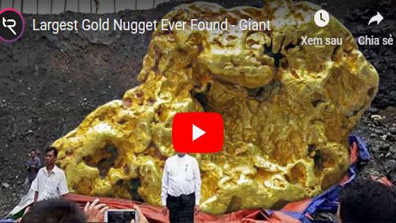 The biggest gold nugget ever unearthed.