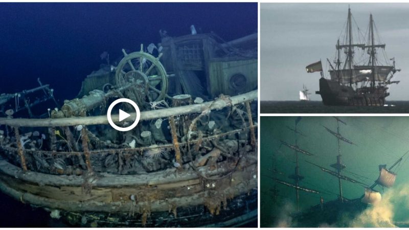 Surprised to see the intact body of a captain on an 18th century ghost ship.