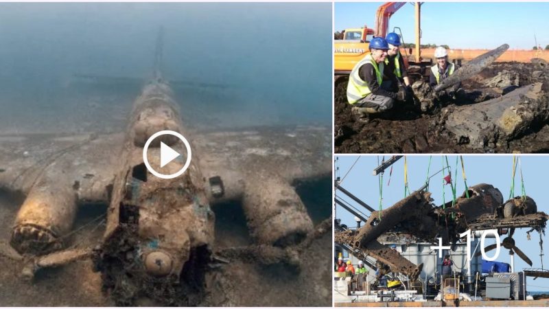 BRITISH-FRENCH INTERCONNECTOR BRINGS CRASHED WW2 PLANE BACK TO LIGHT