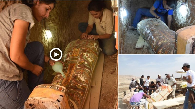 Archaeologists Find 2,800-Year-Old Sarcophagus of an Ancient Court Advisor