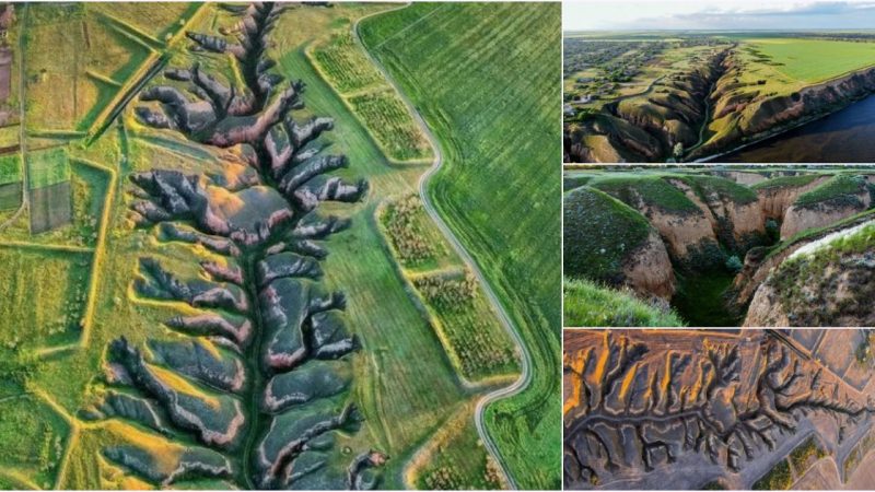 The rift between two tectonic plates is considered a natural wonder Stanislav Grand Canyon in Ukraine