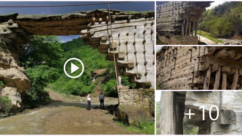 2000 year old wooden bridge in dagestan, built without the use of a single nail.