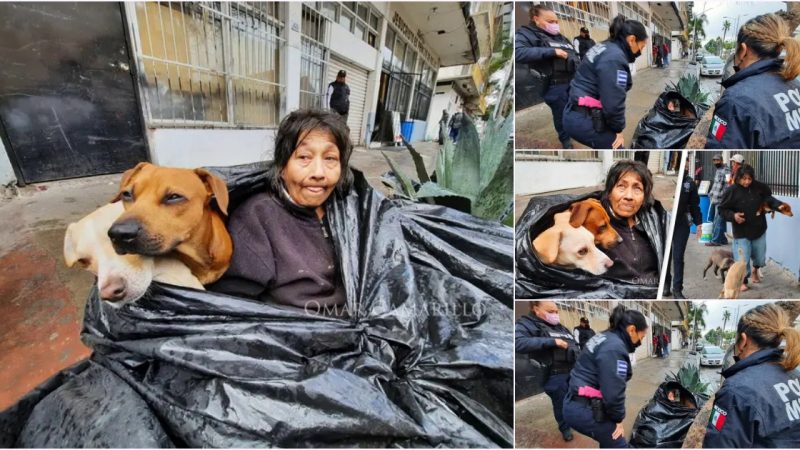 The Tearful Tale of an 80-Year-Old Lonely Grandmother Living with 2 Dogs in a Roadside Garbage Bag