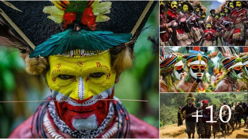 The Huli Tribe: A Cultural Legacy of Nature’s Harmony and Unique Agricultural Practices