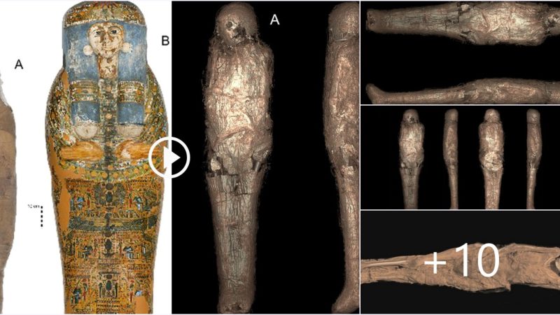 Unveiling an Ultra-Rare Mud Mummy and its Unprecedented Mortuary Practice in Ancient Egypt