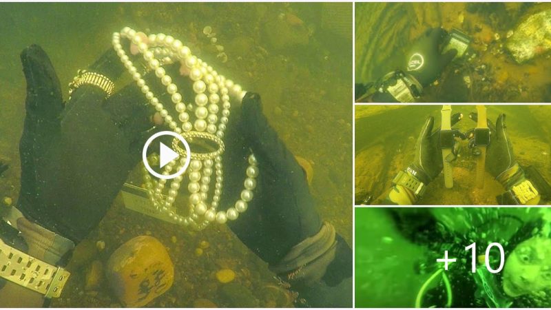 Unbelievable! Divers salvage jewels from riverbed while searching for loѕt items!