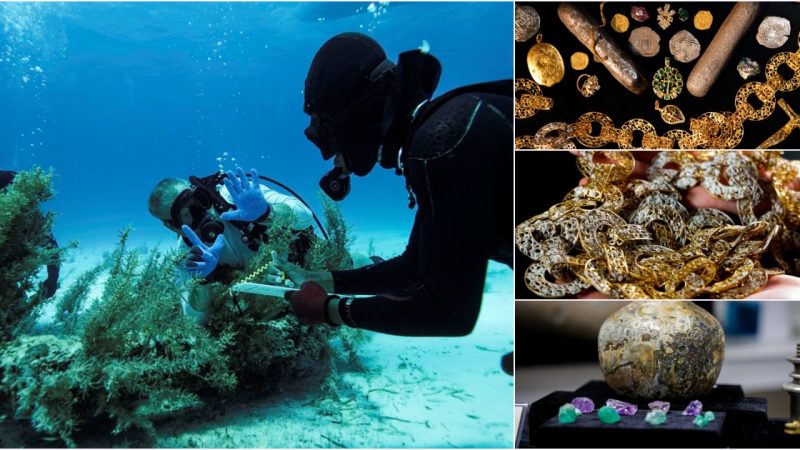 The Wonder: Unveiling the Lost Treasures of a 17th Century Shipwreck