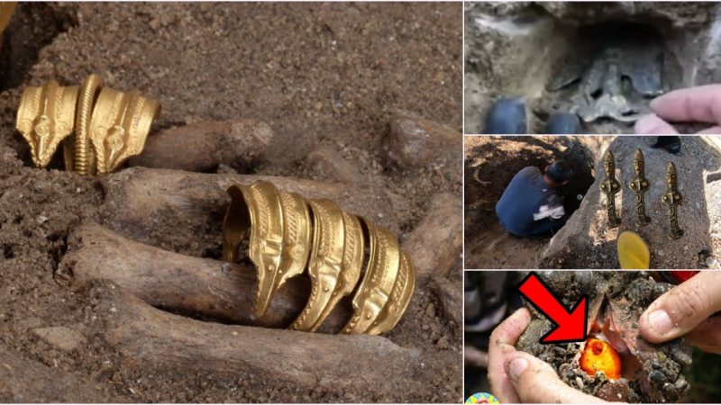 Strange Materials Discovered by Treasure Hunters