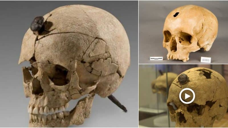 This is the nailed skull of an Iberian warrior preserved in the National Archaeological Museum.