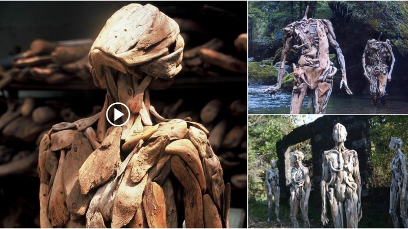 Beautiful and eerie driftwood human shapes.