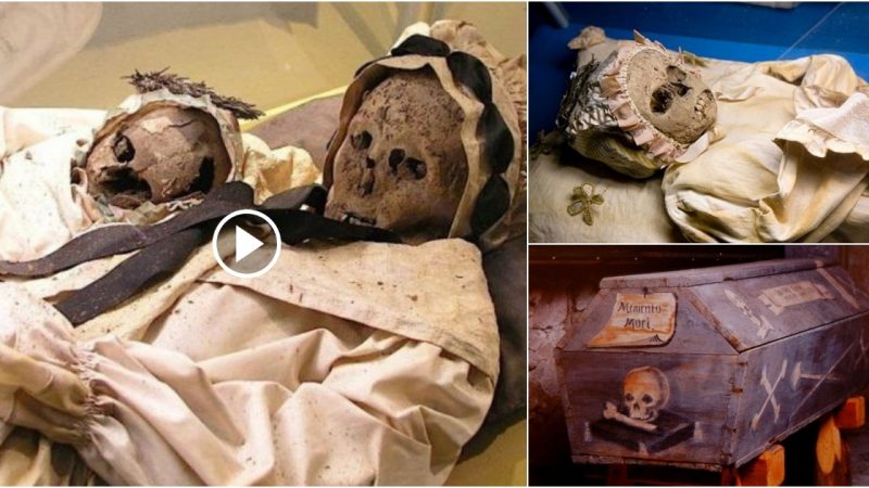 The mysterious remains of a family from the 18th century are found in a crate.