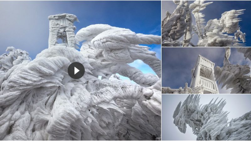 Spectacular Ice Formations Atop a Windswept Mountain in Slovenia.