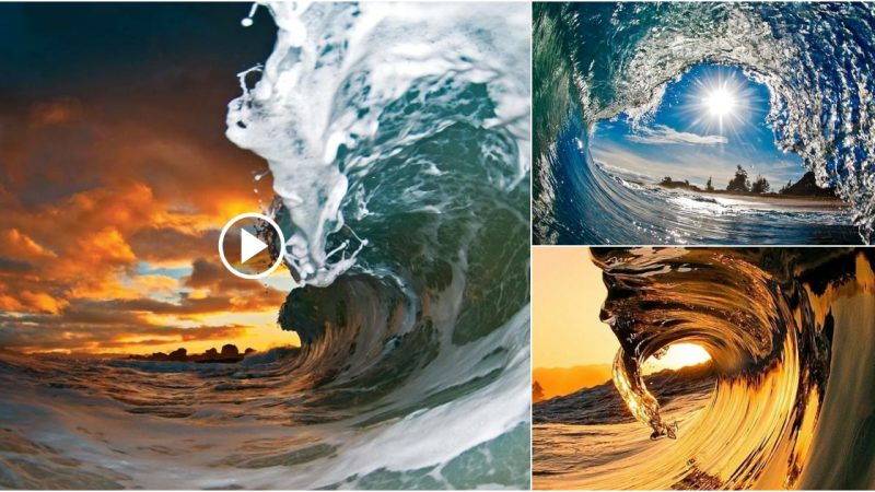 Admire the waves in the waves created by Clark Little photography!