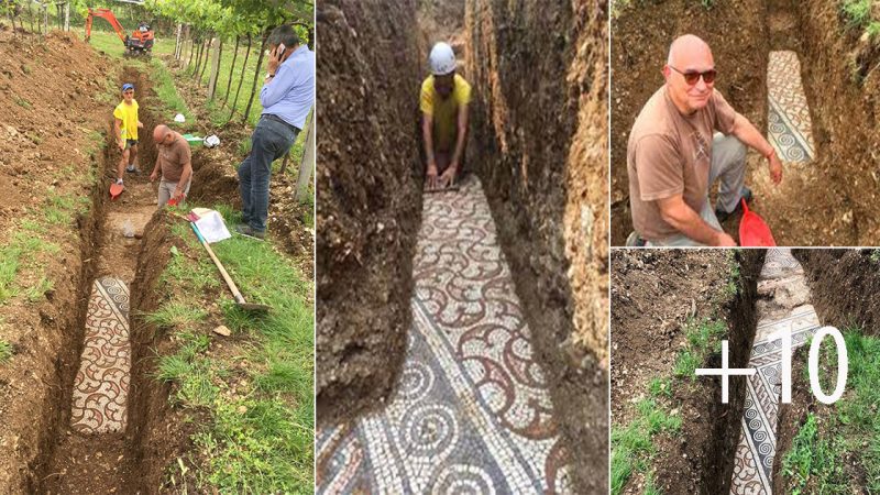 Pristine Roman Mosaic Floor Unearthed Under Italian Vineyard