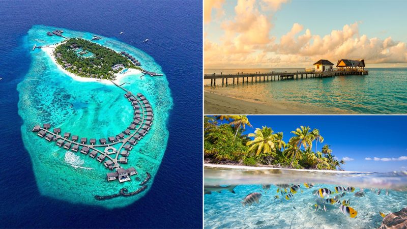 The Maldives: The Ultimate Tropical Escape