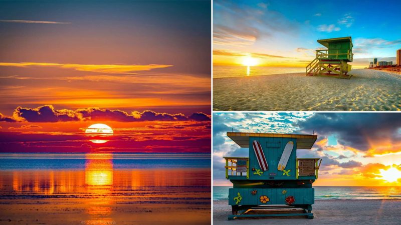 “Perfect End of the Day in Miami: A Travel Earth Nature Adventure”