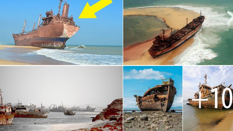 Journey into the Abyss: Exploring the Enigmatic Ship Graveyard of the Gulf of Nouadhibou