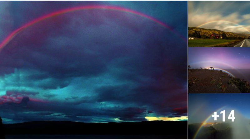 You All Know Rainbows But Have You Ever Witnessed A Moonbow – A Night Rainbow Lit By The Moon?