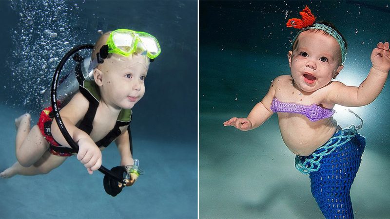 “Captivating Portraits of Neonates in an Aquatic Setting: Exploring Seth Casteel ‘Underwater Babies’ Photo Book”