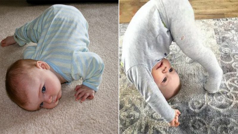 Absolutely Adorable: The Amazing Benefits of Exercise for Babies and Fun Ways to Explore the World of Movement.