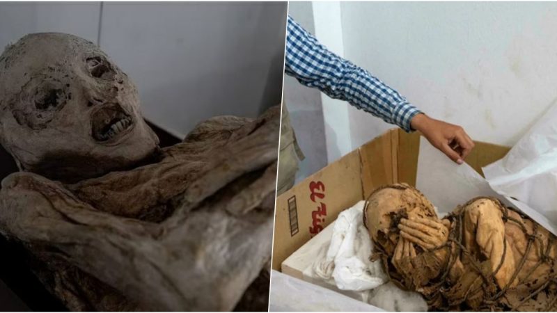 A natural mummy that is 100 years old and rare has been discovered in Colombia.