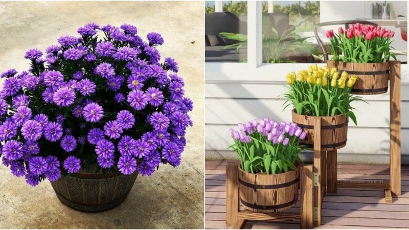 31 Fantastic Whiskey Barrel Planter Ideas