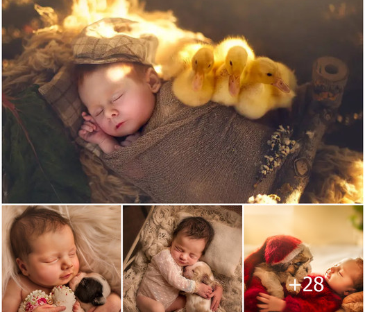 “Adorable Bliss: Newborn Babies Holding Small Animals In Their Warm And Cuddly Arms Make The Online Community Extremely Enamored”.