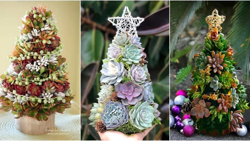 35 Unique and Stunning Christmas Tree Ideas Featuring Creative Cactus Designs for the Festive Holiday Season