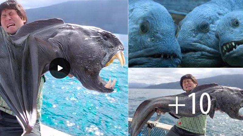 Astonishing Discovery: Fisherman Catches Mysterious Winged Creature with Lion’s Head in the Ocean